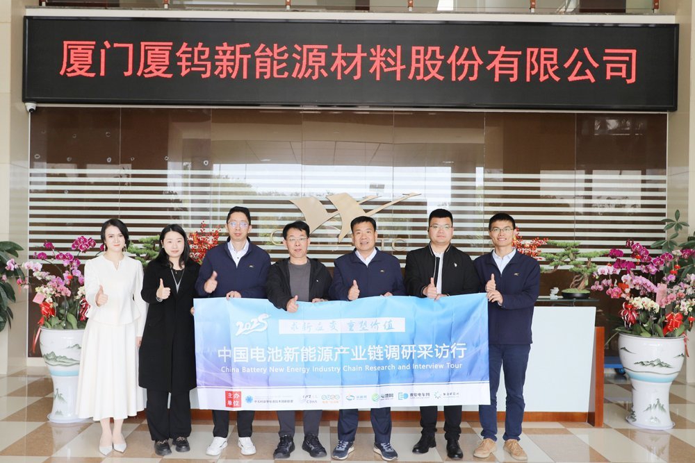 4.5亿元！1万吨！正极材料上市公司落子马来西亚